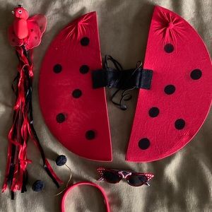 Lady Bug Costume